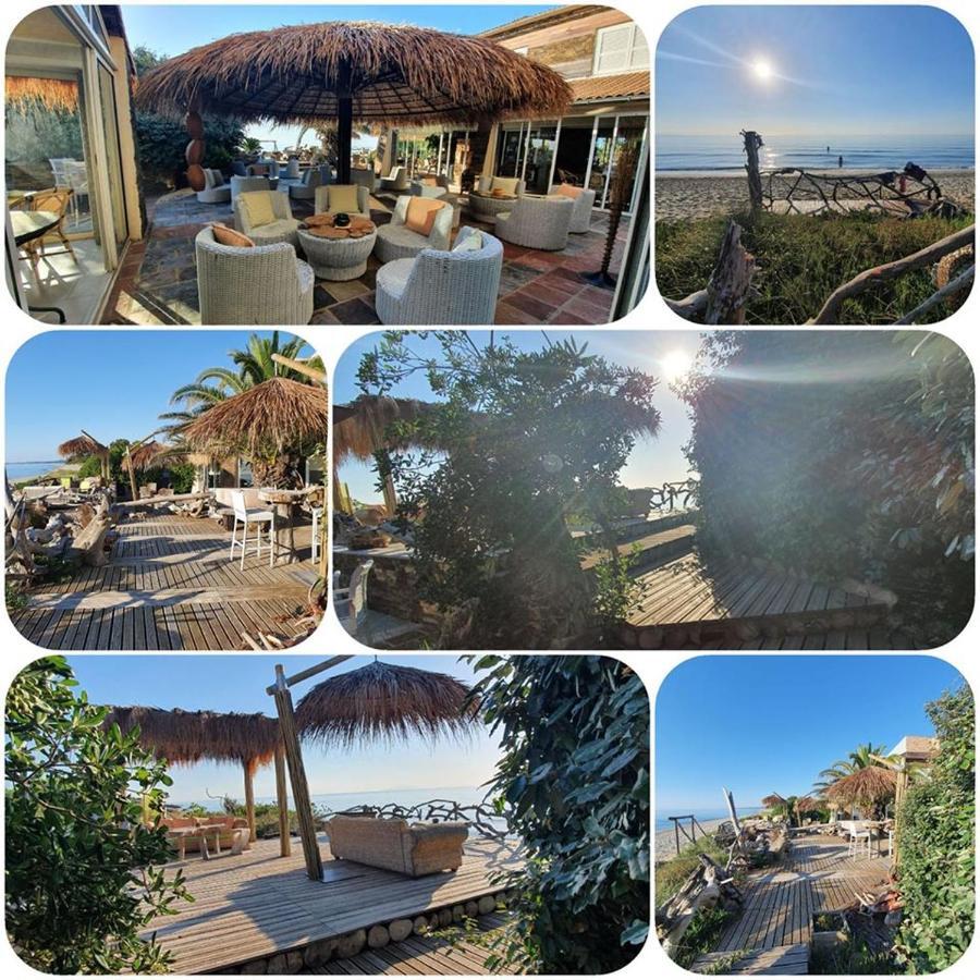 Levolle Marine Hotel Poggio Mezzana Eksteriør billede