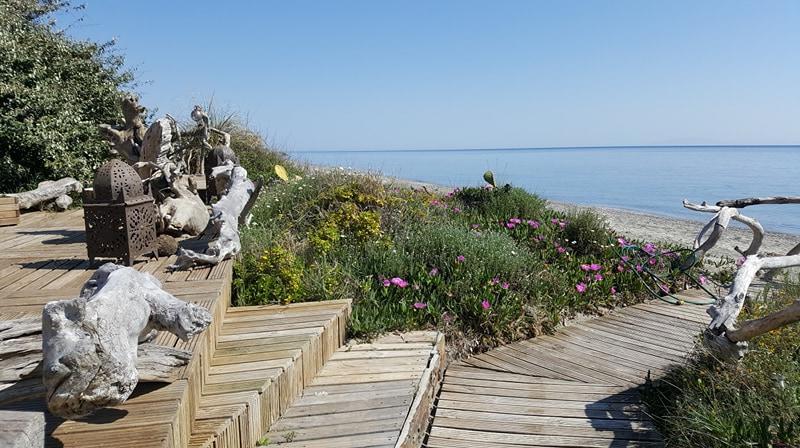Levolle Marine Hotel Poggio Mezzana Eksteriør billede